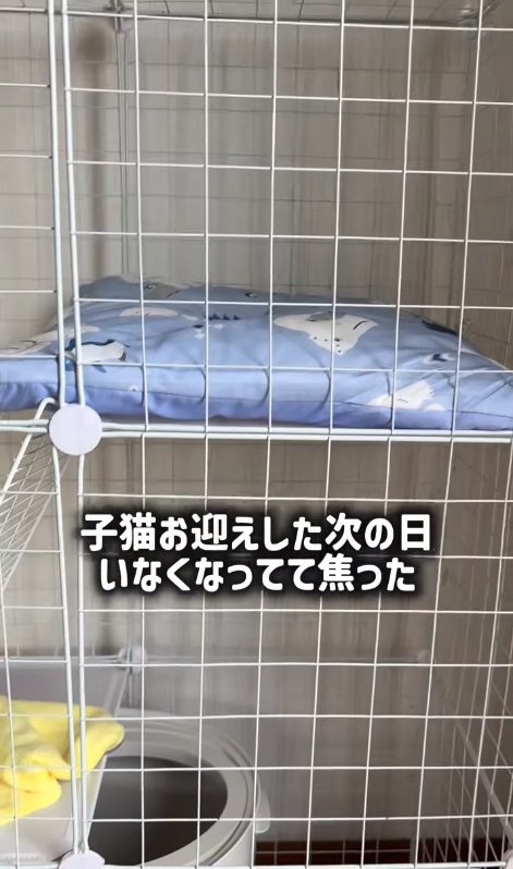ケージの中にある水色のクッション