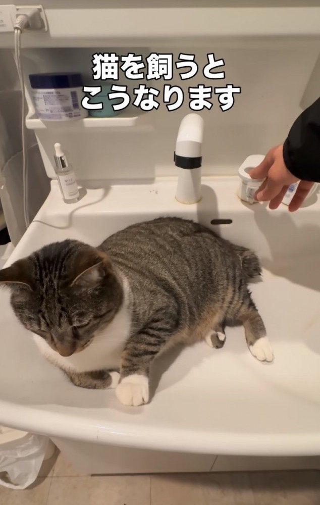 水を出す
