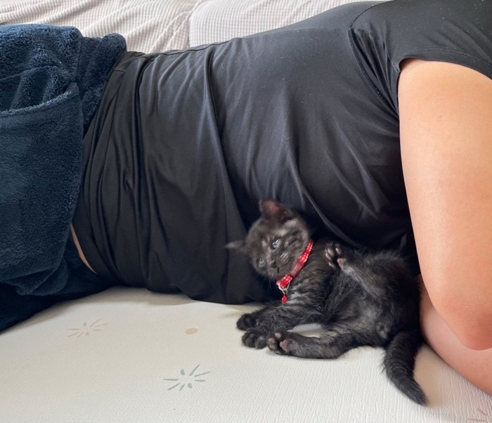 パパの腕の中に入り込んだ猫