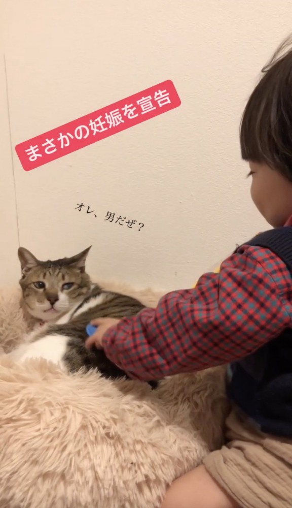 子供を横目でみる猫