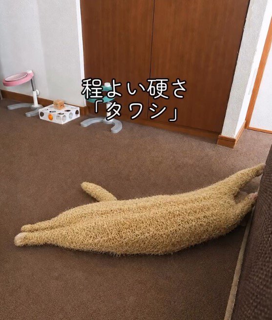 AIが生成した、タワシになった猫の画像
