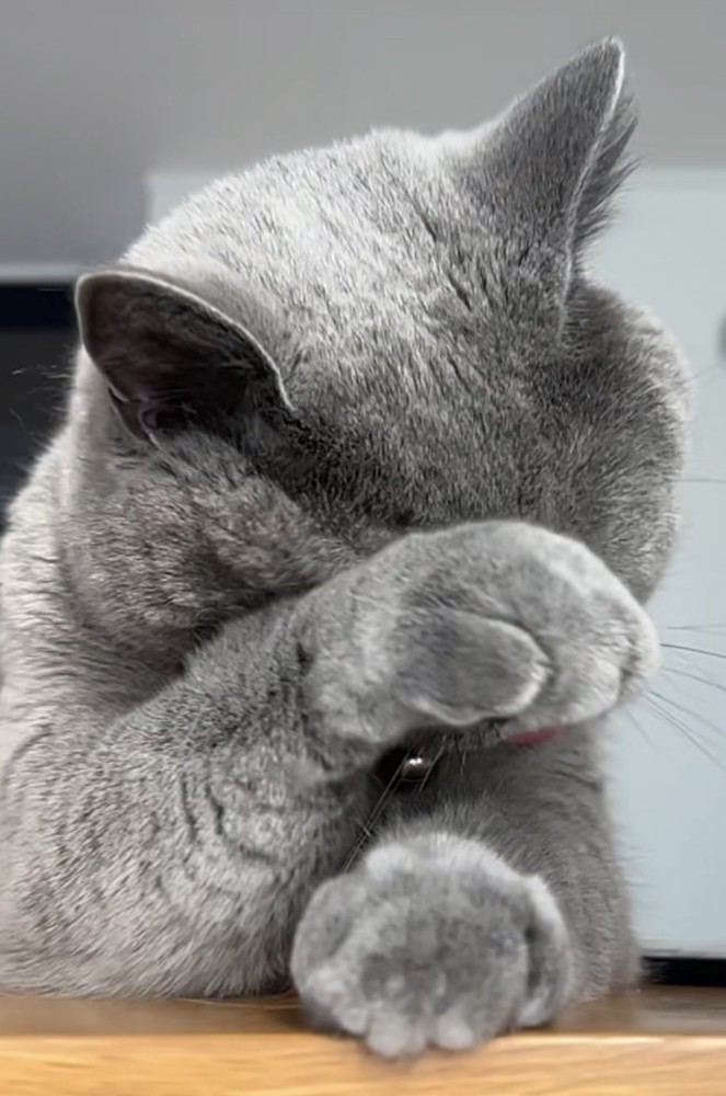 「タイミング難しいみたい」のテロップ写真3