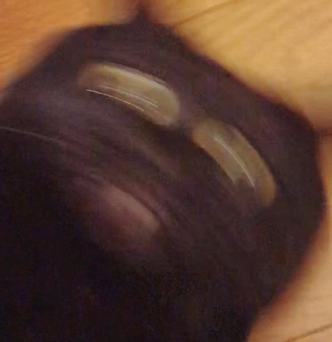 猫に見えない黒猫