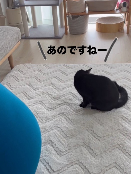 座る猫