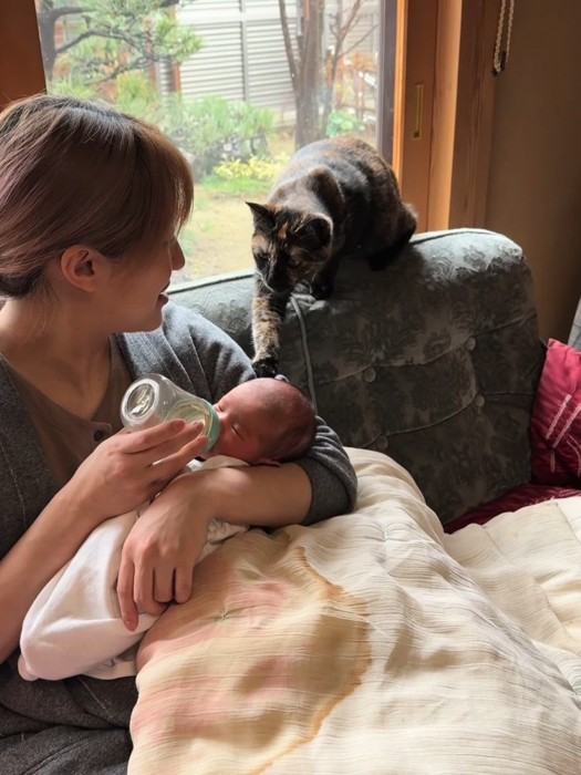 ミルクを飲む赤ちゃんに近づく猫