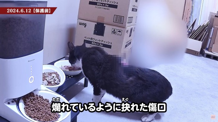 テロップ「怖さのあまり~」