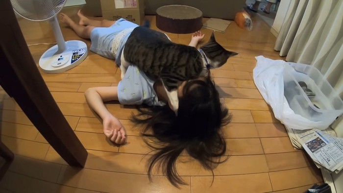 顔に張り付いたまま