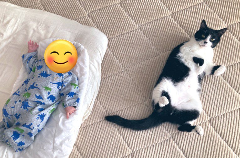 横になる赤ちゃんと猫