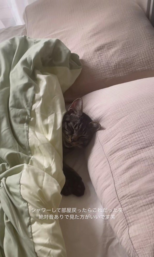 ベッドで寝ている五右衛門くん