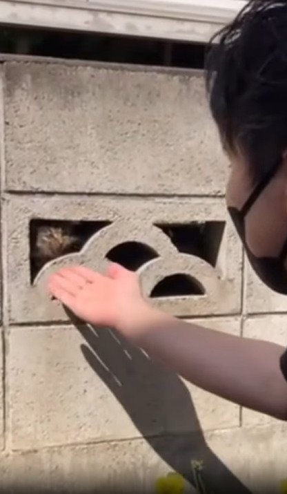 手を差し出す主さん