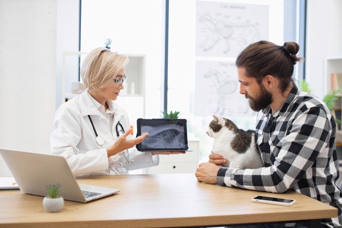 レントゲン検査