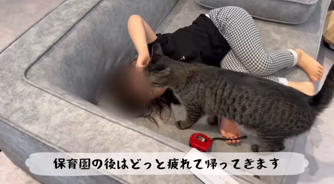 ソファーに寝転がる女の子に顔をすりすりする猫