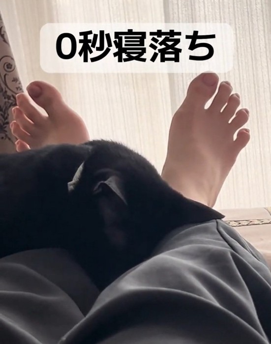 バタンキューするナチくん