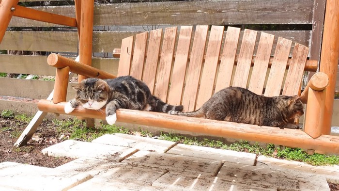 うつぶせで寝るまるくん