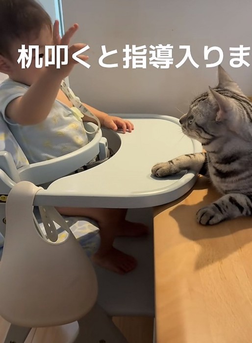 赤ちゃんと猫の写真10