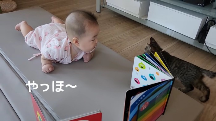 テロップ「やっほ～」