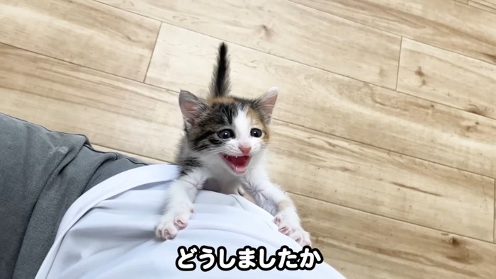 どうしましたか