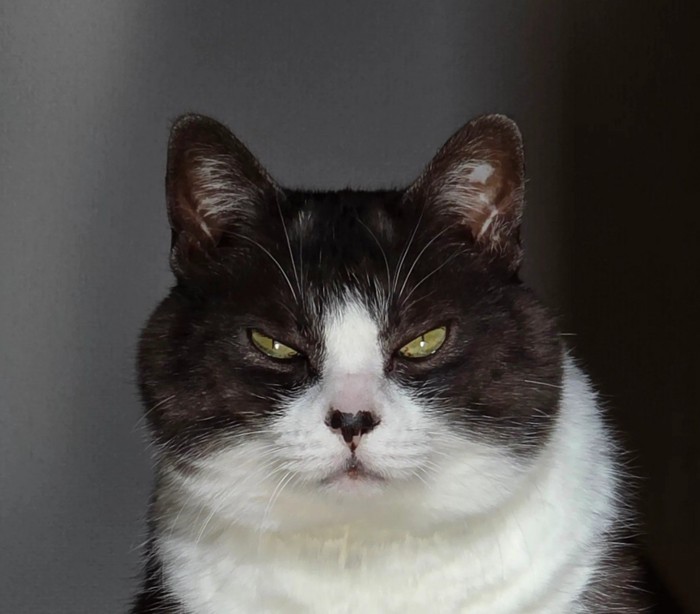 現在のつなちゃん