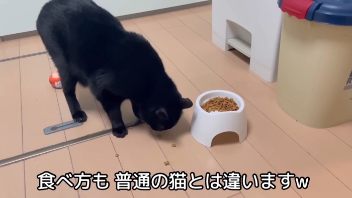 ひとつひとつ食べるすみおくん