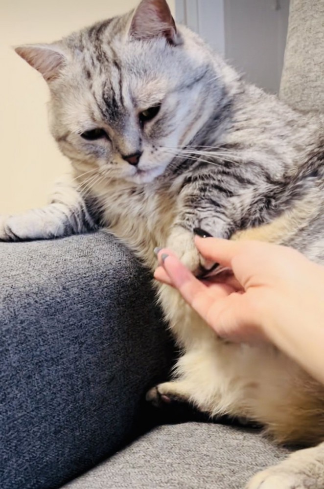 ママに左前足を握られるジェネッタ