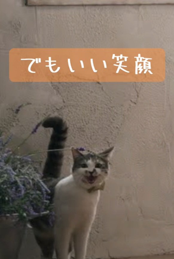 笑顔のノリスちゃん