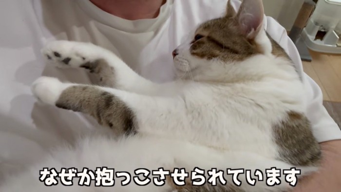 抱っこさせられている様子