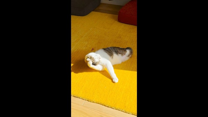 頭を撫でつけて