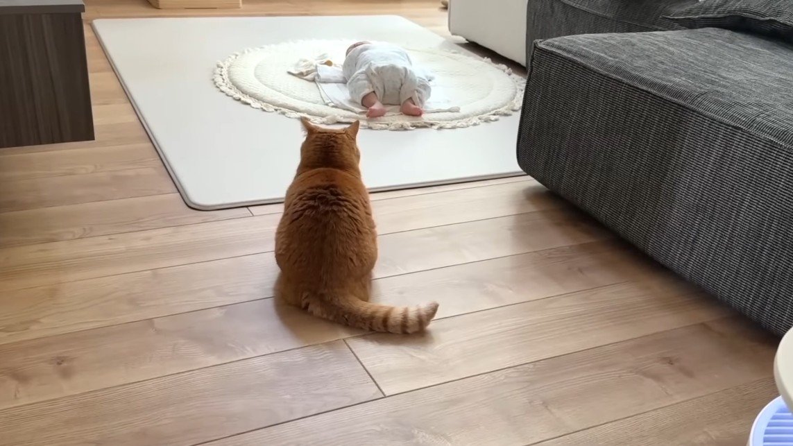 座り込む後ろ姿