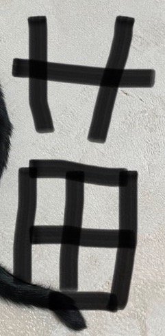 写真に書かれた手書きの『苗』の字