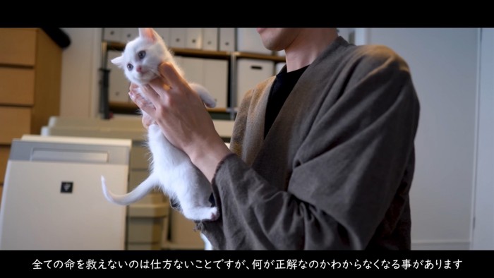 抱えられている子猫