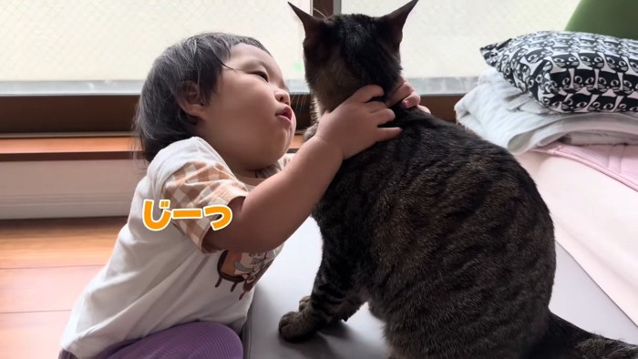 じーっ
