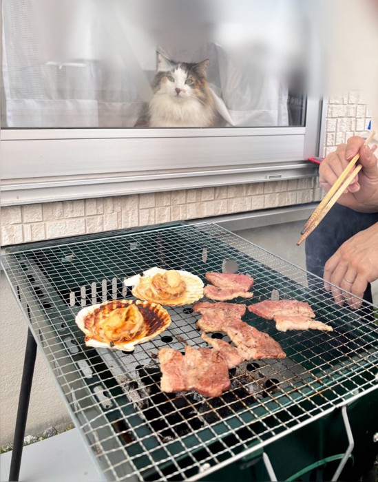 バーベキューを見つめるみかんちゃん