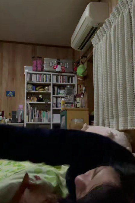 ベッドに入る猫と飼い主