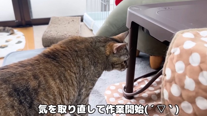 「気を取り直して作業開始」