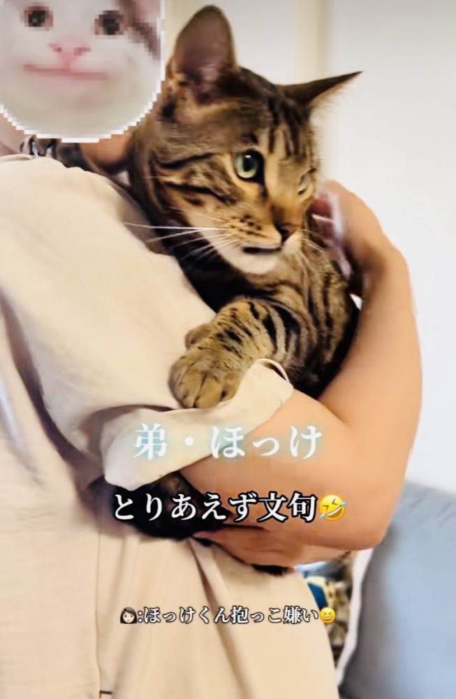 飼い主さんに抱っこされる弟ベンガル