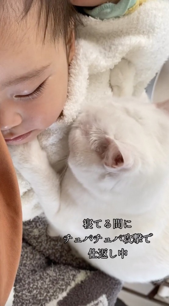 寝てる子供を舐める猫