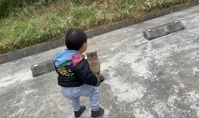 しゃがむ男の子の前にいる猫