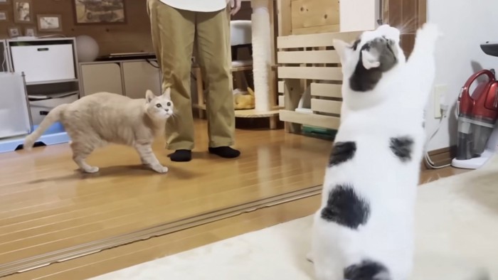 おもちゃに手を伸ばした瞬間