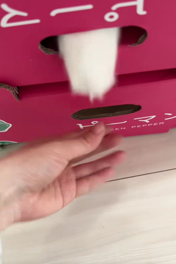 箱から手を出す猫