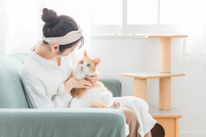 猫を抱っこする女性