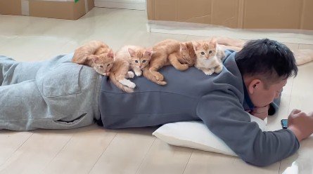 背中に猫をのせているパパさん