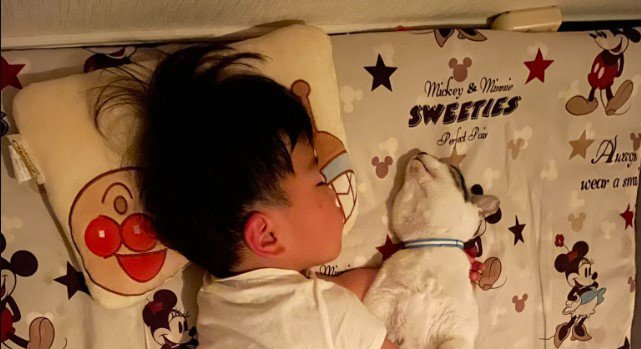 寝ている子どもと猫