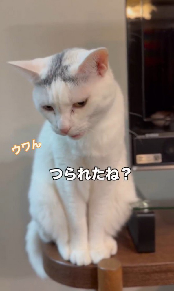 「つられたね」と書かれた写真