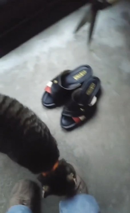 ご主人を探すノラくん