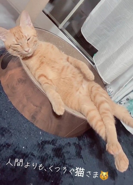 体を伸ばして寝る猫