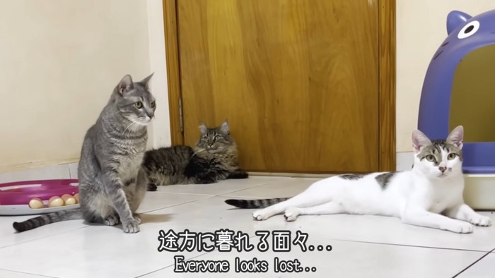 テロップ「途方に暮れる面々」