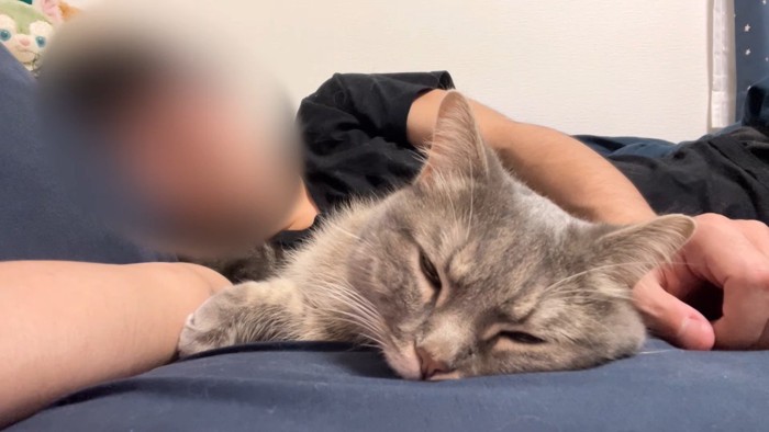 眠った姿