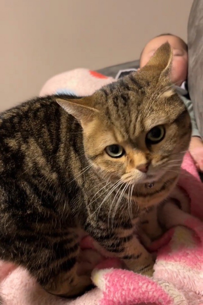 赤ちゃんの足元に立つ猫