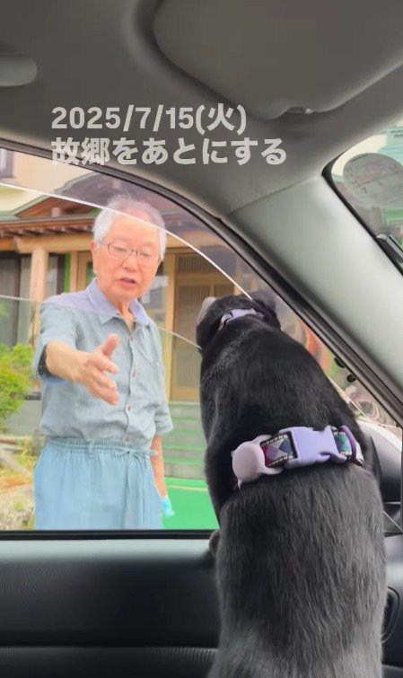 車に乗った猫と見送るおじいちゃん