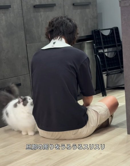 男性の後ろ姿と近くにいる猫